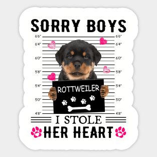 Rottweiler Sorry Boys I Stole Her Heart Happy Valentine's Day Sticker